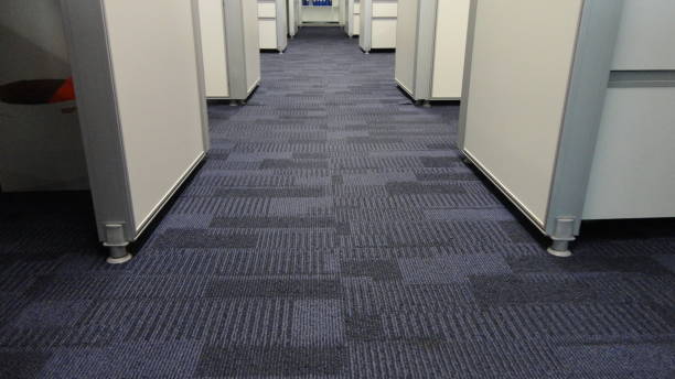 New carpet installation Clinton Township Michigan