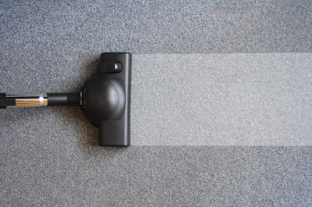 Caring for carpet Clinton Township MI